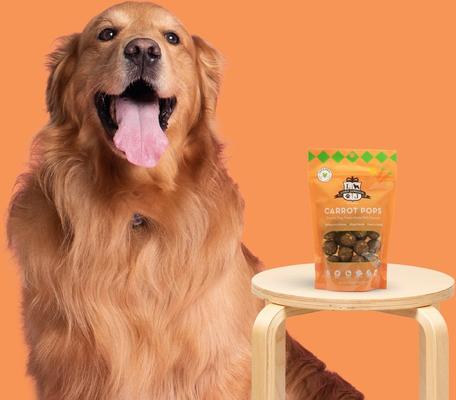 Show full view: Lord Jameson Carrot Pops Vegan Dog Treats, 6-oz bag slide 6 of 9