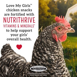 Love My Girls Fruit & Worms Corn-Free Gourmet Chicken Treats, 5-lb bag