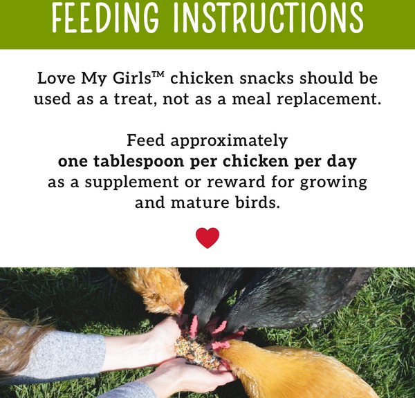 Show full view: Love My Girls Fruit & Worms Corn-Free Gourmet Chicken Treats, 5-lb bag slide 6 of 9