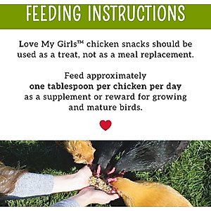 Love My Girls Fruit & Worms Corn-Free Gourmet Chicken Treats, 5-lb bag