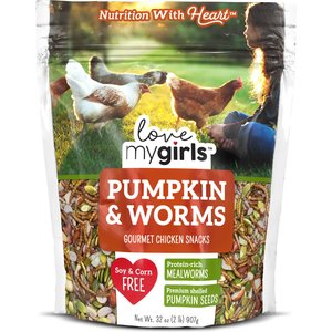 Flock Fest Dried Mealworms Adult Poultry Treats, 5-lb bag