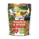 Love My Girls Pumpkin & Worms Corn-Free Gourmet Chicken Treats, 2-lb bag