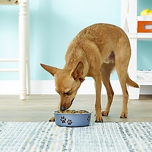 Loving Pets Bella Non-Skid Stainless Steel Dog & Cat Bowl, Blueberry, 1.75-cup
