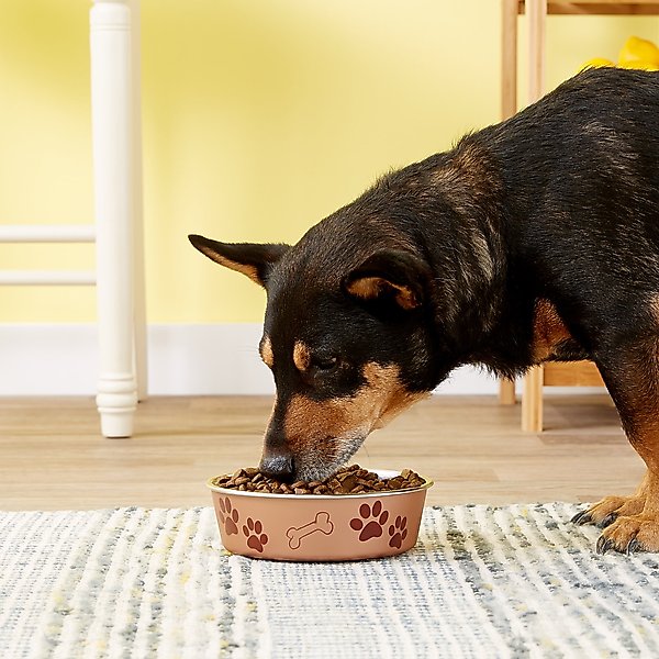 Show full view: Loving Pets Bella Non-Skid Stainless Steel Dog & Cat Bowl, Champagne, 3.25-cup slide 2 of 5