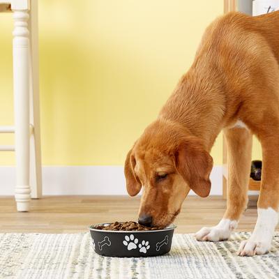 Show full view: Loving Pets Bella Non-Skid Stainless Steel Dog & Cat Bowl, Espresso, 3.25-cup slide 2 of 5