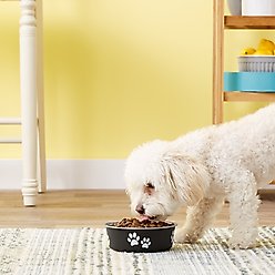 Loving Pets Bella Non-Skid Stainless Steel Dog & Cat Bowl, Expresso, 1.75-cup slide 2 of 3