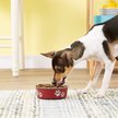 Show in main carousel: Loving Pets Bella Non-Skid Stainless Steel Dog & Cat Bowl, Merlot, 1.75-cup slide 2 of 4