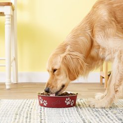 Loving Pets Bella Non-Skid Stainless Steel Dog & Cat Bowl, Merlot, 6.5-cup slide 2 of 3