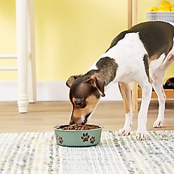 Loving Pets Bella Non-Skid Stainless Steel Dog & Cat Bowl, Metallic Artichoke, 1.75-cup slide 2 of 3