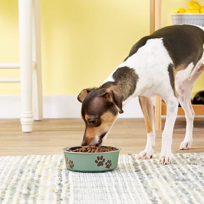 Show full view: Loving Pets Bella Non-Skid Stainless Steel Dog & Cat Bowl, Metallic Artichoke, 1.75-cup slide 2 of 5