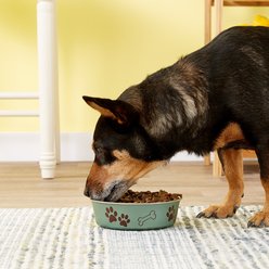 Loving Pets Bella Non-Skid Stainless Steel Dog & Cat Bowl, Metallic Artichoke, 3.25-cup slide 2 of 3