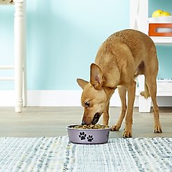 Loving Pets Bella Non-Skid Stainless Steel Dog & Cat Bowl, Metallic Grape, 1.75-cup slide 2 of 3