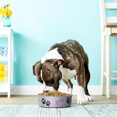 Show full view: Loving Pets Bella Non-Skid Stainless Steel Dog & Cat Bowl, Metallic Grape, 7.75-cup slide 3 of 6