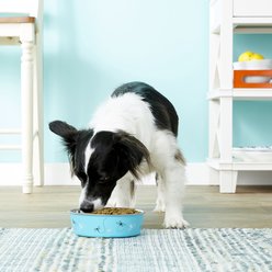 Loving Pets Bella Non-Skid Stainless Steel Dog & Cat Bowl, Turquoise, 3.25-cup slide 2 of 4