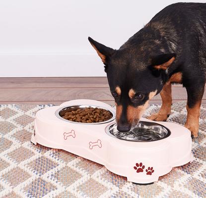 Show full view: Loving Pets Dolce Double Diner Non-Skid Elevated Dog & Cat Bowls, Pink, 2.75-cup slide 3 of 7