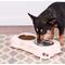 Show in main carousel: Loving Pets Dolce Double Diner Non-Skid Elevated Dog & Cat Bowls, Pink, 2.75-cup slide 5 of 7