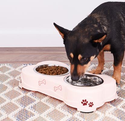 Show full view: Loving Pets Dolce Double Diner Non-Skid Elevated Dog & Cat Bowls, Pink, 2.75-cup slide 5 of 7