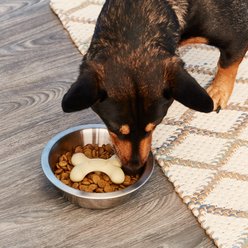 Loving Pets Gobble Stopper Slow Feeder, 6-8 in slide 2 of 3