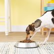 Show in main carousel: Loving Pets Non-Skid Stainless Steel Dog & Cat Bowl, 2-cup slide 2 of 5