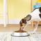 Show in main carousel: Loving Pets Non-Skid Stainless Steel Dog & Cat Bowl, 2-cup slide 3 of 6