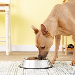 Loving Pets Non-Skid Stainless Steel Dog & Cat Bowl, 8-cup slide 2 of 4