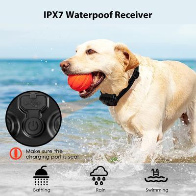 Show full view: Luckypets 1640-ft Remote Range & Rechargeable with 3 Training Modes Dog Training Collar, Black slide 4 of 10