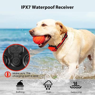 Show full view: Luckypets 1640-ft Remote Range & Rechargeable with 3 Training Modes Dog Training Collar, Red slide 4 of 10