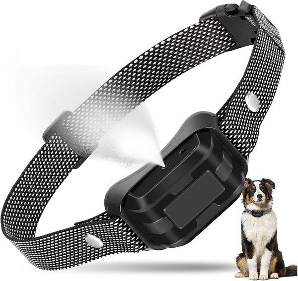 bark and collar