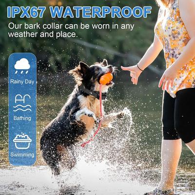 Show full view: Luckypets Auto Citronella Dog Bark Collar, Black slide 3 of 9