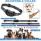 Show in main carousel: Luckypets Auto Citronella Dog Bark Collar, Black slide 7 of 9