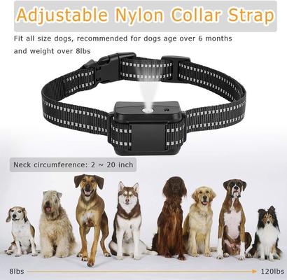 Show full view: Luckypets Deterrent Spray Rechargeable Anti-Bark Dog Bark Collar, Black slide 3 of 9
