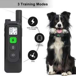 Luckypets Rechargeable Shock Collar with Beep, Vibration & Shock Modes Dog Training Collar, Black slide 2 of 8