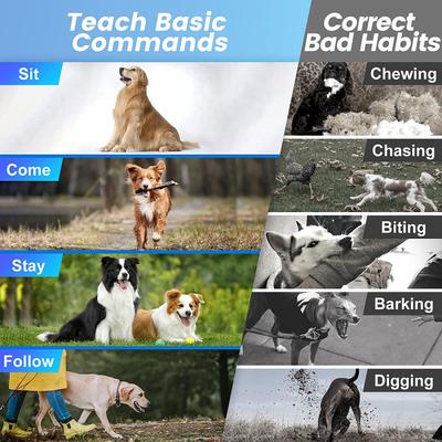 Show full view: Luckypets Rechargeable & Waterproof Dog Training Collar, Black slide 8 of 10