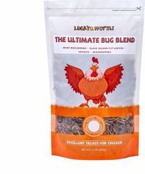LuckyQworms the Ultimate Bug Blend Insect Trail Mix High Protein Dry Food Poultry Treats, 1-lb bag
