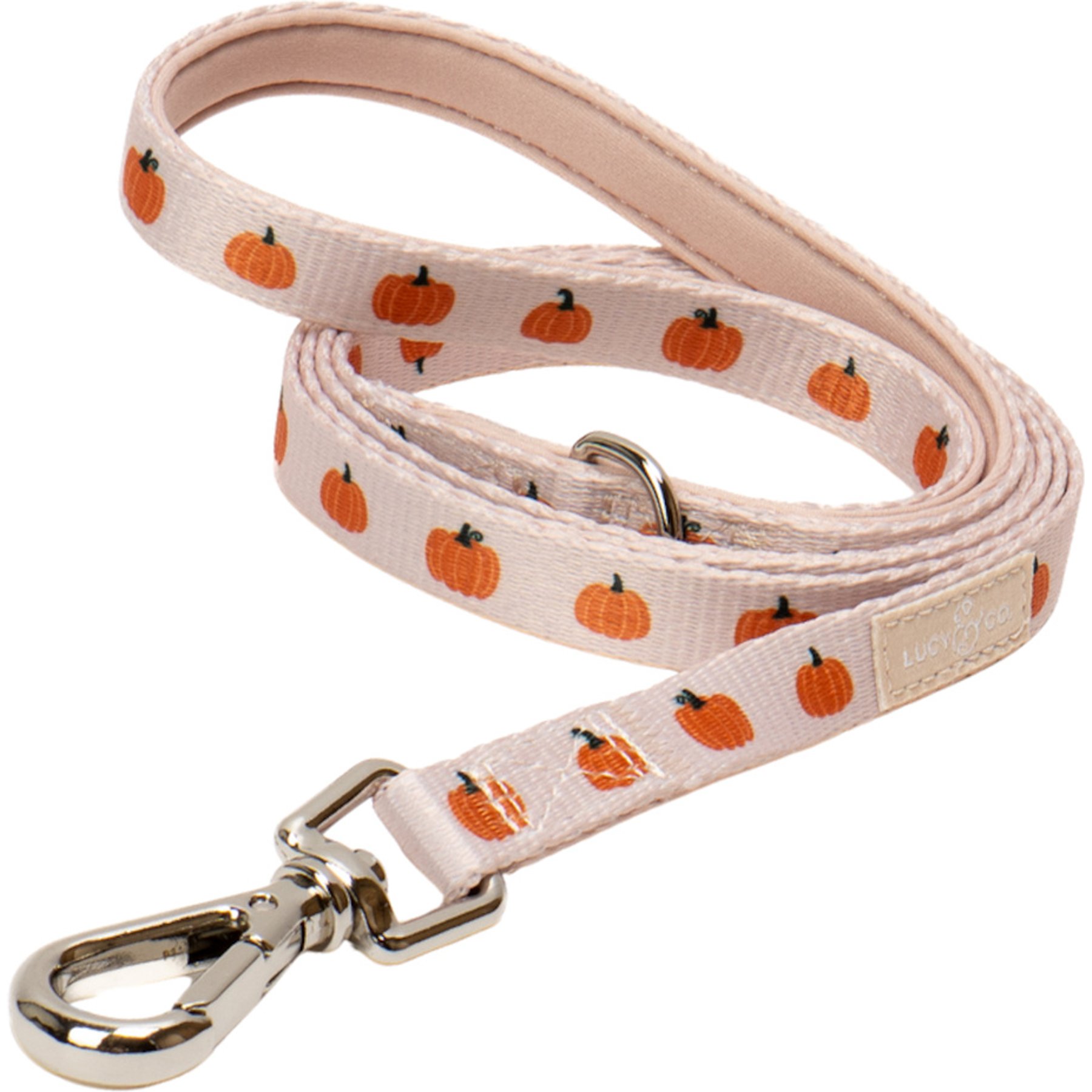 Lucy & Co. Oh My Gourd Standard Cat Leash, Small: 5-ft long, 3/8-in wide