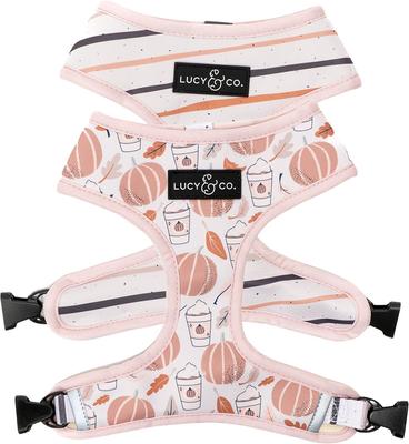 Lucy & Co. The Awesomely Autumn Reversible Basic Dog Harness, Orange