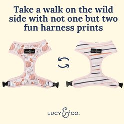 Lucy & Co. The Awesomely Autumn Reversible Basic Dog Harness, Orange, Medium: 17 to 23-in chest slide 2 of 5