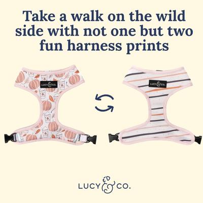 Lucy & Co. The Awesomely Autumn Reversible Basic Dog Harness, Orange