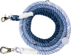 Lucy & Co. Hands-Free Rope Dog Leash, 7-ft long, 3/4-in wide, Blueberry Twist slide 1 of 3