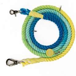 Lucy & Co. Hands-Free Rope Dog Leash, 7-ft long, 3/4-in wide, Bolt of Energy