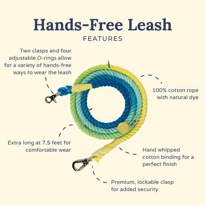 Show full view: Lucy & Co. Hands-Free Rope Dog Leash, 7-ft long, 3/4-in wide, Bolt of Energy slide 2 of 4