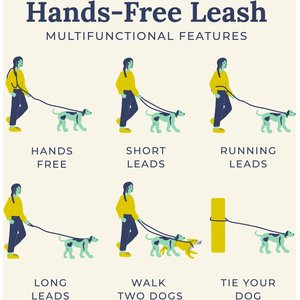 Lucy & Co. Hands-Free Rope Dog Leash, 7-ft long, 3/4-in wide, Evergreen