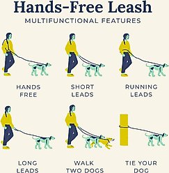 Lucy & Co. Hands-Free Rope Dog Leash, 7-ft long, 3/4-in wide, Chocolate Meadows slide 2 of 3