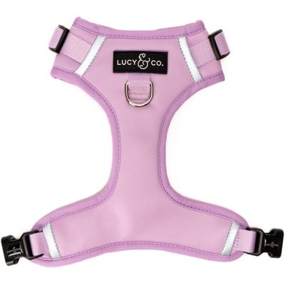 Lucy & Co. Lucy & Co. The Bouquet No-Pull Dog Harness, Pink, Large: 20 to 28-in chest