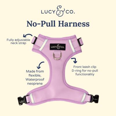 Show full view: Lucy & Co. The Bouquet No-Pull Dog Harness, Pink, Large: 20 to 28-in chest slide 3 of 6
