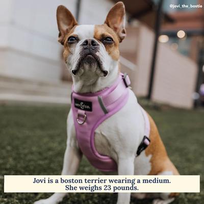 Show full view: Lucy & Co. The Bouquet No-Pull Dog Harness, Pink, X-Small: 12 to 15-in chest slide 3 of 7