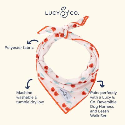 Show full view: Lucy & Co. The Cheery Cherries Dog Bandana, Red, Small slide 3 of 6