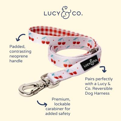 Show full view: Lucy & Co. The Cheery Cherries Padded Dog Leash, Red, Large: 5-ft long, 1-in wide slide 2 of 4