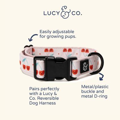 Show full view: Lucy & Co. The Cheery Cherries Polyester Standard Dog Collar, Red, Large: 16 to 26-in neck, 1.5-in wide slide 2 of 4