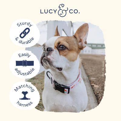 Show full view: Lucy & Co. The Cheery Cherries Polyester Standard Dog Collar, Red, Medium: 13 to 20-in neck, 1-in wide slide 3 of 4